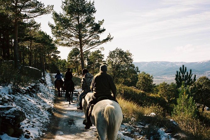 Horse Riding Madrid Natural Park (long Trip) - Price and Value: Is $162.21 Worth It?