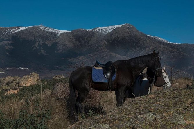 Horse Riding Madrid Natural Park (long Trip) - How the 4.5-Hour Ride Works on the Ground