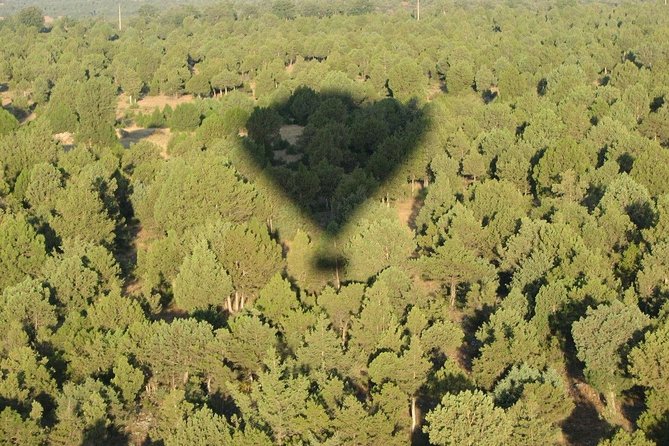 Hot-Air Balloon Ride over Madrid’s Guadarrama Regional Park - The 1-hour balloon flight: Guadarrama views from a low, aerial angle