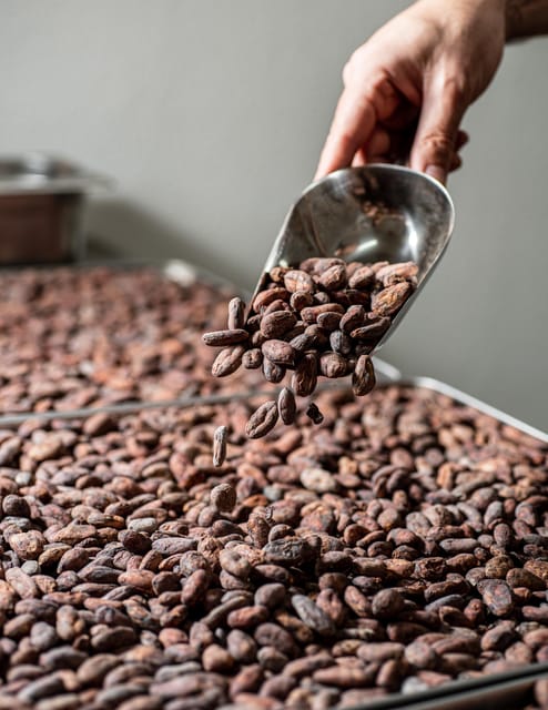 KAIACAO Bean to Bar and Design your own chocolate experience - Why KAICAO Makes Sense for a Chocolate-Loving Layover in Madrid