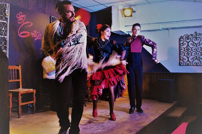 Local Flamenco Show with dinner at El Cortijo - The flamenco show: two sets of professional dancing and music