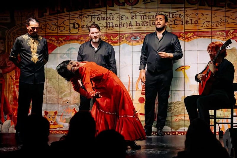 Madrid: Authentic Flamenco at Flamenco de Leones - Who this flamenco show is best for