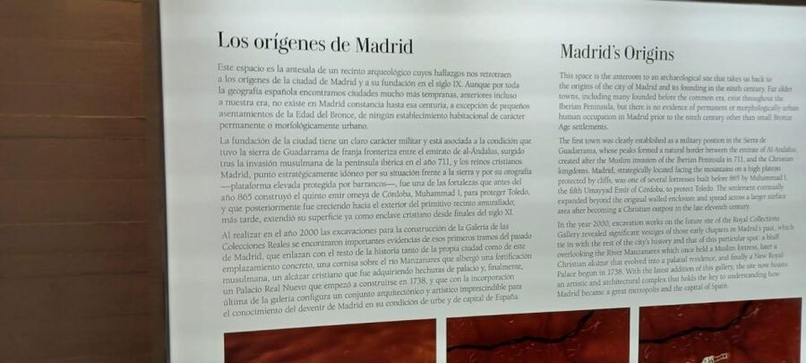 Madrid: Basic Guided Tour of the Royal Collections Gallery - Dynasties you’ll encounter: from Trastámara & Habsburg to the Bourbons