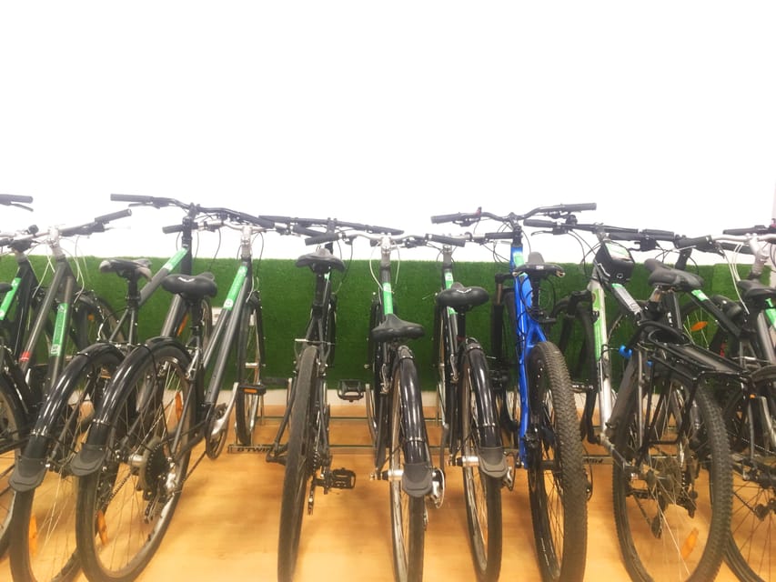 Madrid: bike rental - Your 3-hour window on Madrid’s cycle-lane network