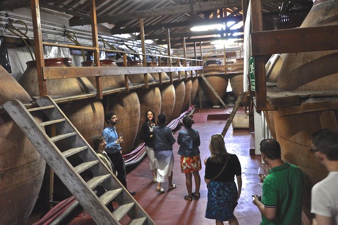 Madrid Countryside Wineries Guided Tour with Wine Tasting - Key Highlights Worth Booking For