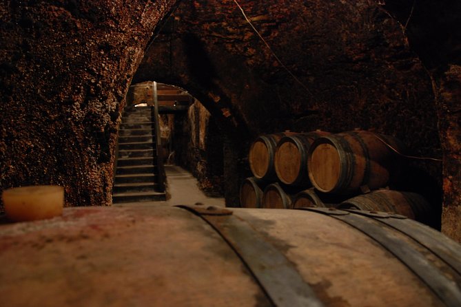 Madrid Countryside Wineries Guided Tour with Wine Tasting - Stop 1: Señorio de Val Azul and the Boutique-Organic Advantage