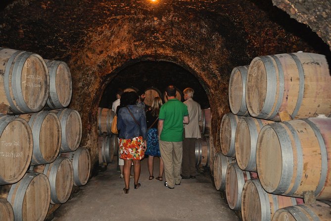 Madrid Countryside Wineries Guided Tour with Wine Tasting - Stop 2: Bodega del Nero and the River-Vega Tradition