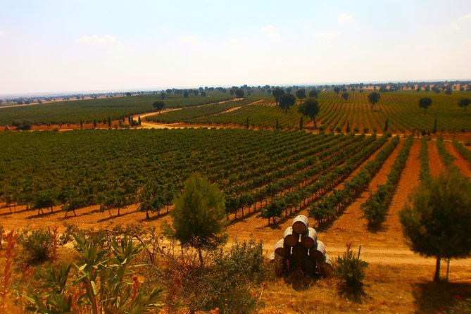 Madrid Countryside Wineries Guided Tour with Wine Tasting - Tastings and Snacks: More Than Just Pours Between Stops