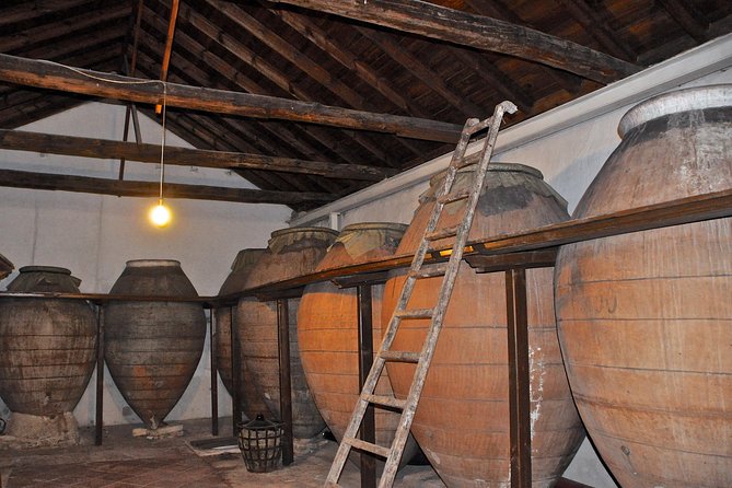 Madrid Countryside Wineries Guided Tour with Wine Tasting - Pace, Group Size, and What Makes the Day Feel Enjoyable