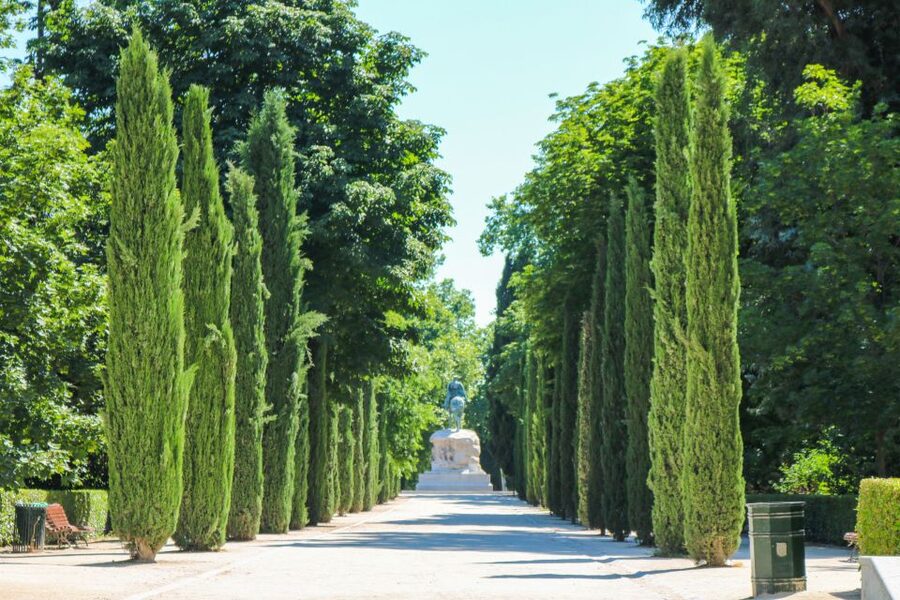 Madrid: El Retiro Park & City Sightseeing Audio Tour - Setting Up the App: Offline Audio Takes Prep