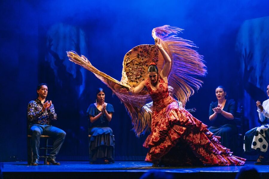 Madrid: "Emociones" Live Flamenco Performance - How to enjoy flamenco when you don’t speak Spanish