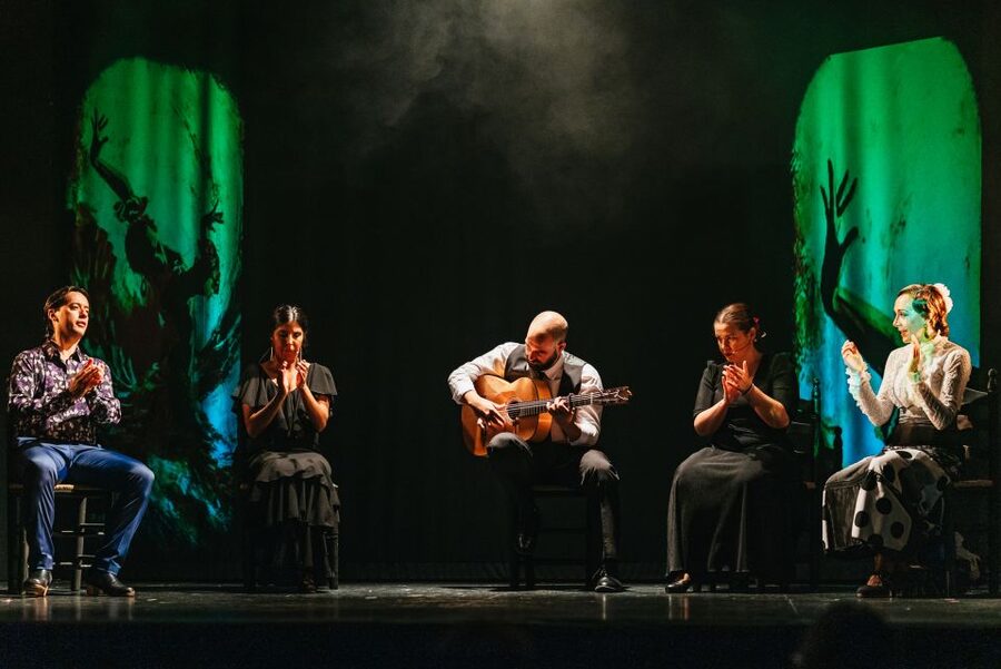 Madrid: "Emociones" Live Flamenco Performance - Audience etiquette: the only real downside