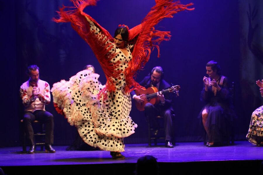 Madrid: "Emociones" Live Flamenco Performance - Final verdict: should you book Emociones in Madrid?