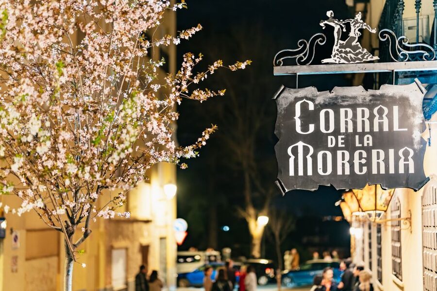 Madrid: Flamenco Show at Corral de la Moreria - Price and value: what $58 buys you in the real world