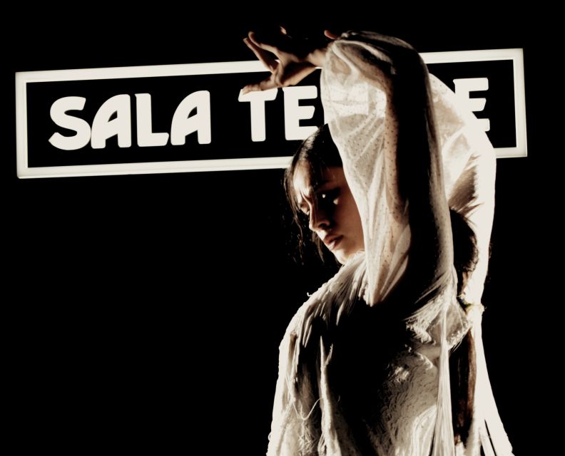 Madrid: Flamenco Show at Tablao Sala Temple with Drink - Drink included: sangria, beer, wine, or a non-alcoholic option