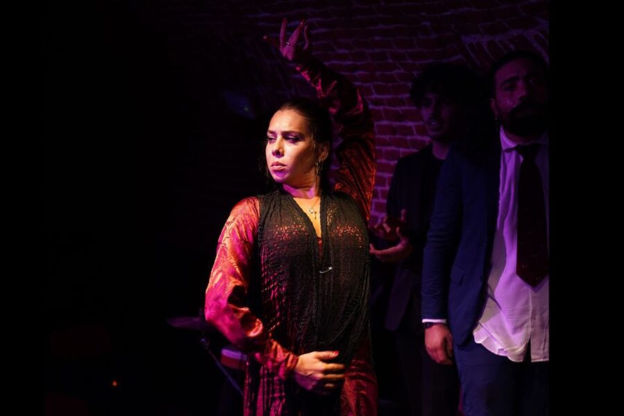 Madrid: Flamenco Show Entry Ticket with Drink & Artist Talk - Key Things You’ll Notice Right Away
