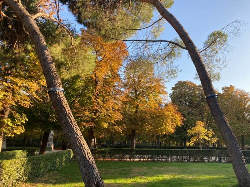 Madrid: Flow Yoga class in Retiro Park - Should You Book This Retiro Park Flow Yoga Class?