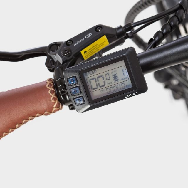 Madrid: Guided Electric Bike Tour. City center & Retiro Park - Central Madrid on e-bikes: Plaza Mayor and the Royal Palace zone