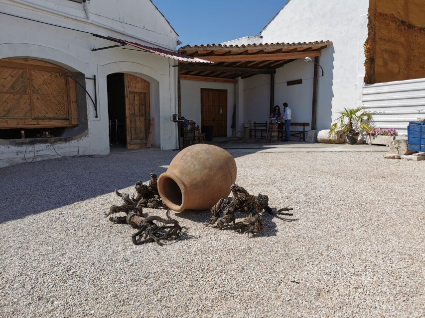 Madrid: half day wine region tour - Practical tips before you go