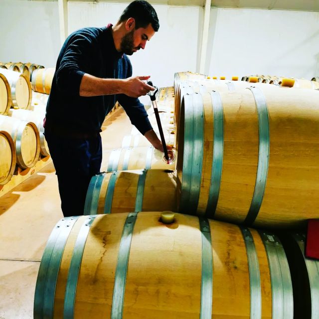 Madrid: half day wine region tour - Medieval village break: Chinchón or Colmenar de Oreja views