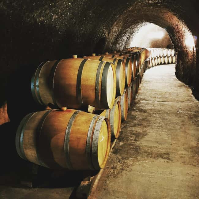 Madrid: half day wine region tour - Who this Madrid wine tour is best for