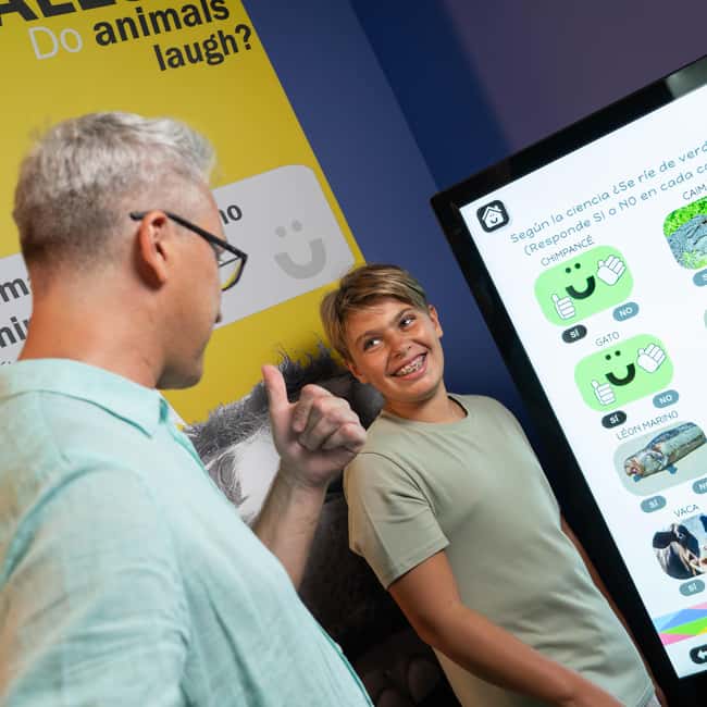 Madrid: Happiness Museum Interactive Experience Ticket - What the Happiness Museum Experience Feels Like in 75 Minutes