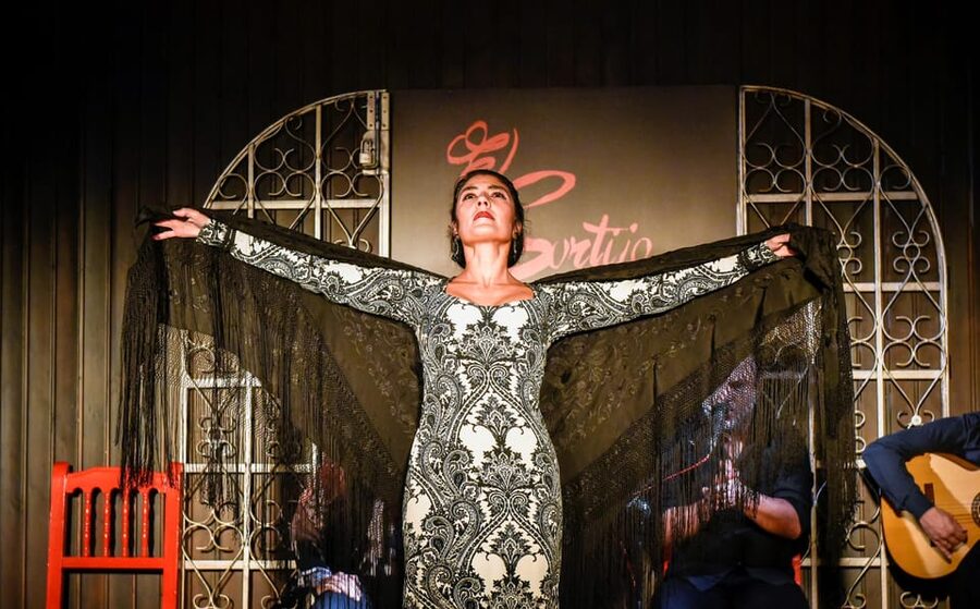 Madrid: Local Flamenco Show at El Cortijo - Should you book El Cortijo for flamenco?