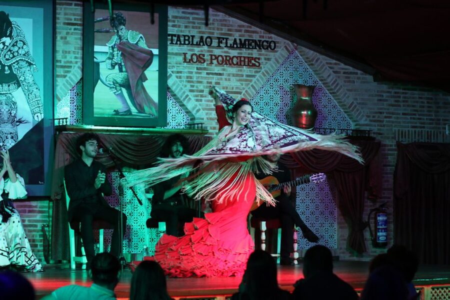 Madrid: Los Porches Flamenco Show with Tapas and Wine Ticket - Tapas and wine with the show: value, portion size, and what to choose