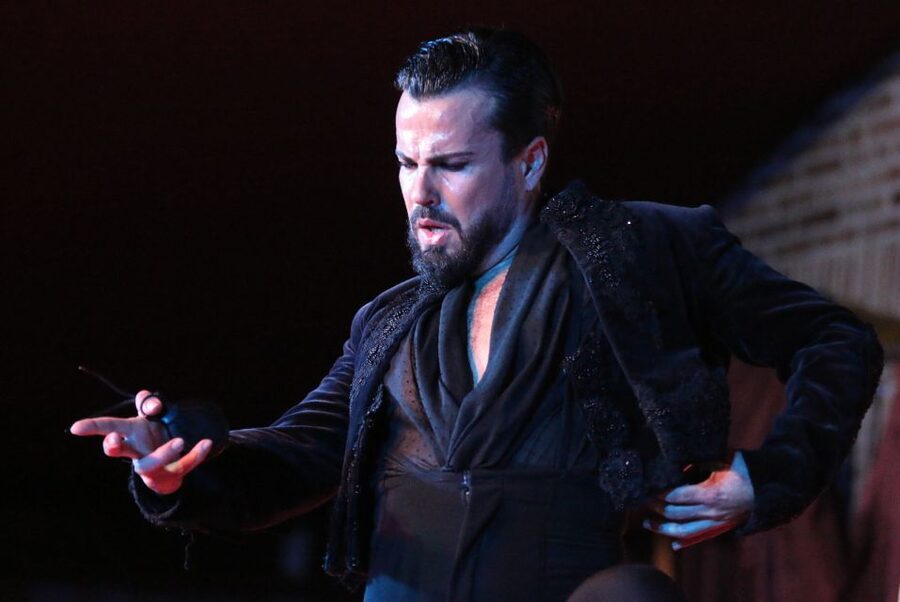 Madrid: Los Porches Flamenco Show with Tapas and Wine Ticket - The host greeting and the language feel