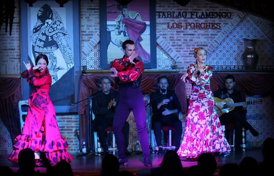 Madrid: Los Porches Flamenco Show with Tapas and Wine Ticket - Who this flamenco night is best for