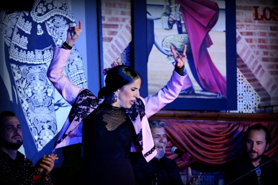 Madrid: Los Porches Flamenco Show with Tapas and Wine Ticket - What happens during the 2-hour flamenco performance