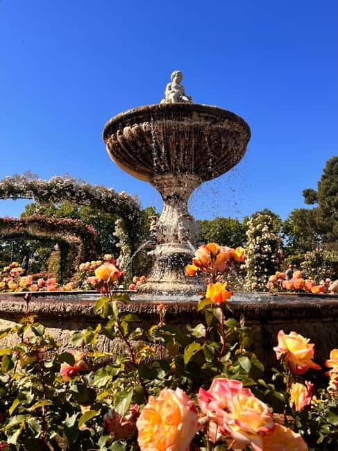 Madrid: Magic Retiro Park Bike Tour - Why a Retiro bike tour works in 2 hours