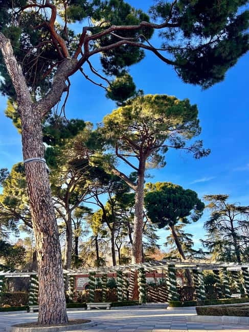 Madrid: Magic Retiro Park Bike Tour - Price and value: what $34 buys you (and what doesn’t)