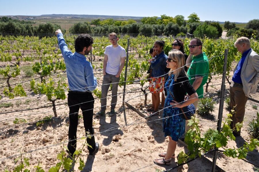 Madrid Region Wineries Guided Tour with Wine Tastings - Getting from Madrid: the short run to Chinchón and Colmenar de Oreja