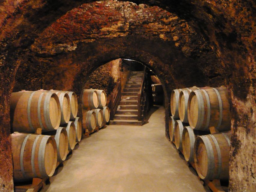 Madrid Region Wineries Guided Tour with Wine Tastings - Vineyard wandering and the Madrid wine base: Tempranillo and river-fed soils