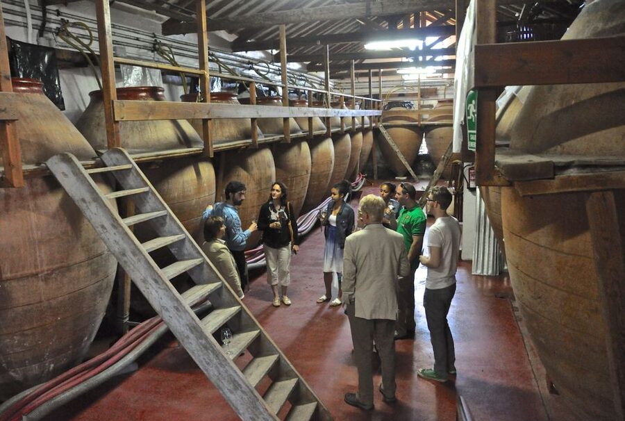 Madrid Region Wineries Guided Tour with Wine Tastings - What you’ll actually taste: nine wines, real food pairings, and generous pours