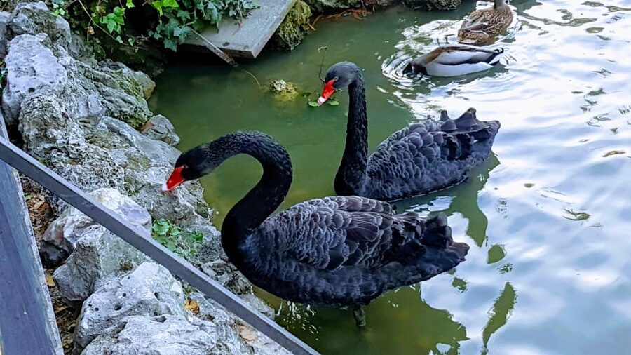 Madrid: Retiro Park Guided Tour with a Photographer - Key takeaways before you go