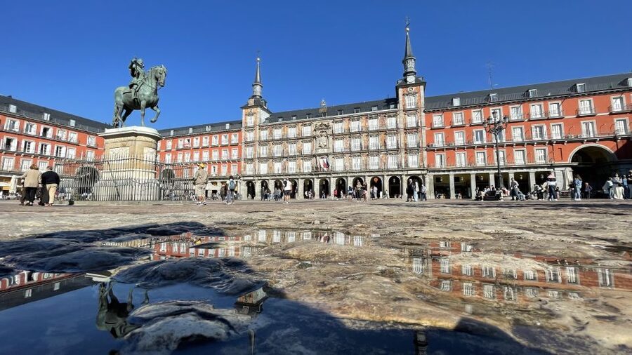 Madrid: Royal Palace Entry Ticket and Small Group Tour - Separate-Entrance Entry: How the Skip-the-Line Piece Works