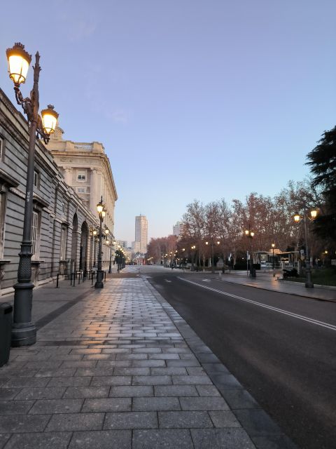 Madrid: Royal Palace & Prado Museum Private Tour - From palace to lunch: a gentle city-center walk you can actually enjoy