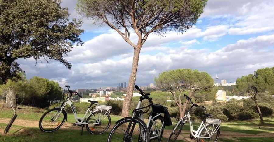 Madrid’s River Side & Casa de Campo Electric Bike Tour - From Plaza Mayor into the Royal Palace viewpoint at Plaza de Oriente