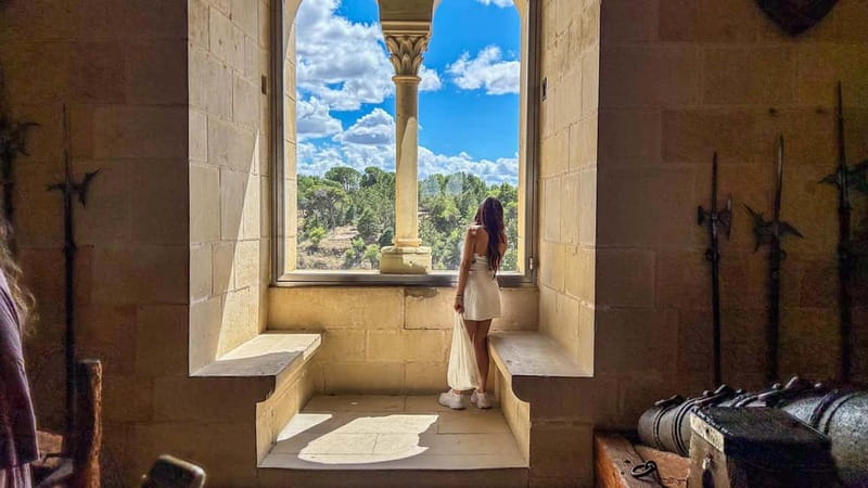 Madrid: Segovia & Ávila Full Day with Alcázar & Wall Tickets - The Alcázar of Segovia: Fairytale Fortress Time With a Real Ticket