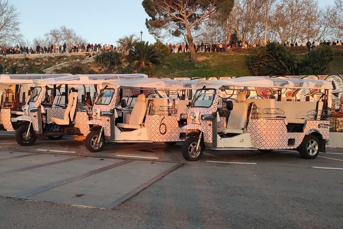 Madrid Sightseeing Tuk Tuk Tours - Retiro Park, Cibeles, and Neptuno: where photos turn into a break