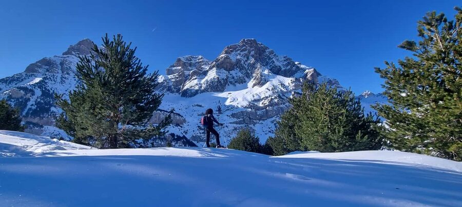 Madrid: Snowshoe Tour - Puerto de Navacerrada: the smart start point