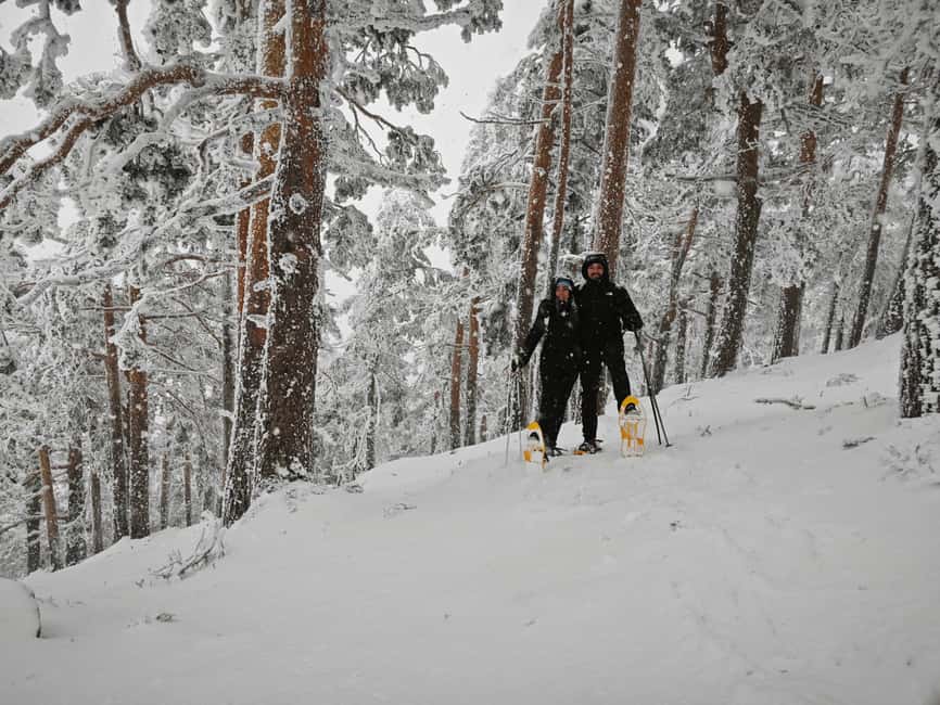 Madrid: Snowshoe Tour - 3.5 hours on snowshoes in Sierra de Guadarrama