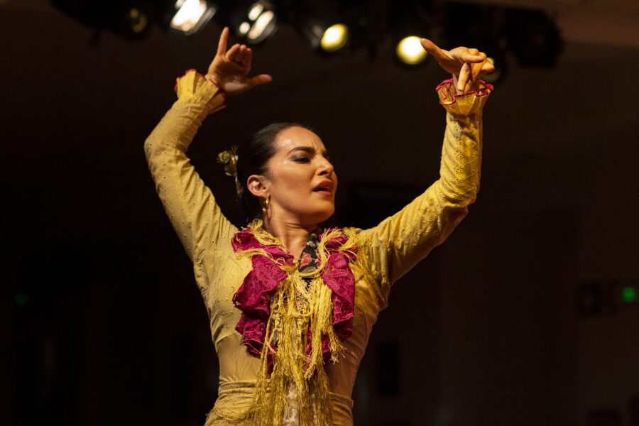 Madrid: Tablao de La Villa Flamenco Show - The Optional Dinner: How It Changes the Night