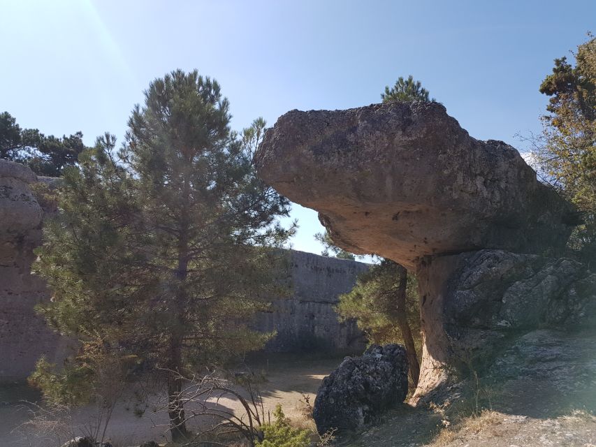 Madrid: Tour to Cuenca and the Enchanted City from Madrid - Cuenca Old Town Walk: Plaza Mayor, Cathedral Time, and Medieval Corners