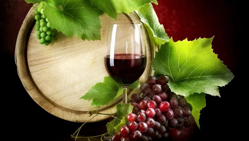 Madrid Wine Tasting, Flamenco Class and Trendy Bar - How the flamenco master class actually works (and why it feels fun)