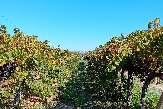 Madrid Wine Tour: Visit Two Wineries with Tastings - Stop 3: Chinchón for More Madrid Denomination and Winemaking Methods