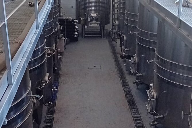 Madrid Wine Tour: Visit Two Wineries with Tastings - The Guide Factor: Michael’s Explanations (and Monica’s Hospitality)