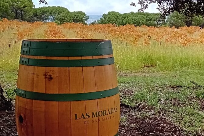 Madrid Wine Tour: Visit Two Wineries with Tastings - Group Size and Timing: Comfort Over Chaos